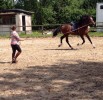 Atahualpa - pure race espagnole au Parc du château de Rambouillet